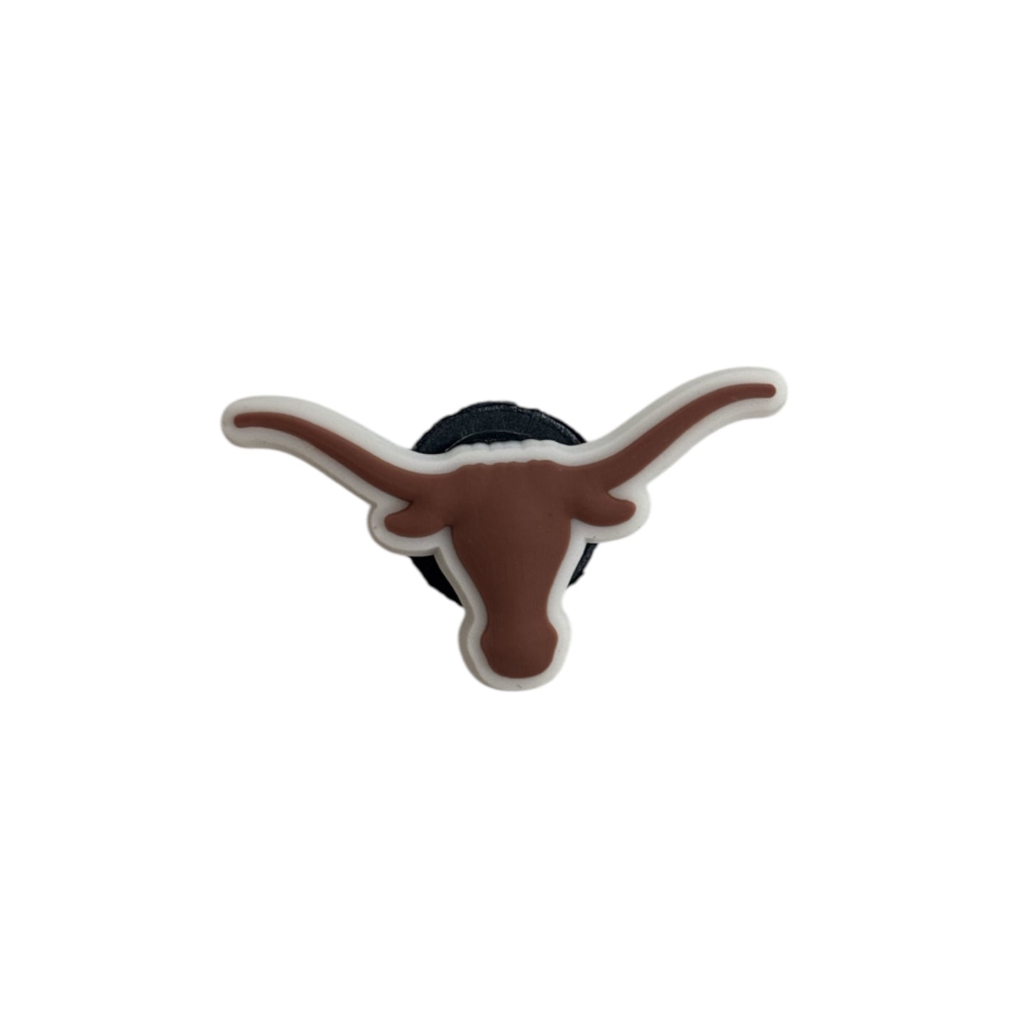 Longhorns Charm