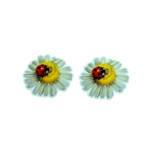 Lady Beetle Resin Planar