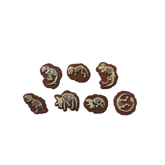 Fossil Charm